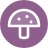 Fungus