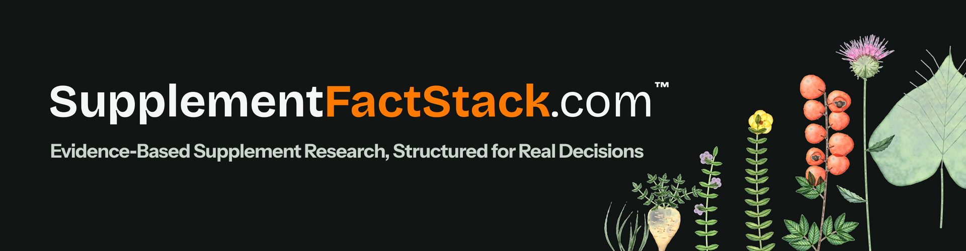 SupplementFactStack.com&trade; &mdash; Evidence‑Based Supplement Research, Structured for Real Decisions