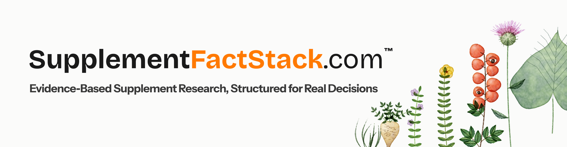 SupplementFactStack.com&trade; &mdash; Evidence‑Based Supplement Research, Structured for Real Decisions